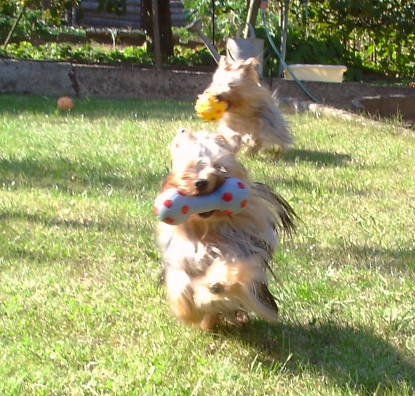 30.jpg